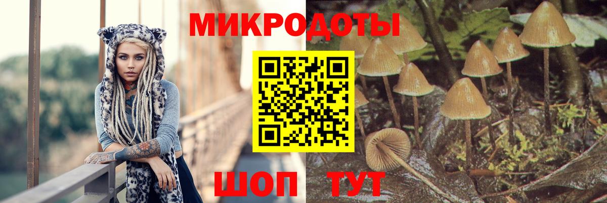 Галлюциногенные грибы мухоморы  Вход с VPN  Нерюнгри  Галлюциногенные грибы мухоморы 